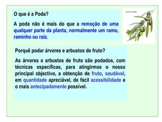 O que é a Poda?
A poda não é mais do que a remoção de uma
qualquer parte da planta, normalmente um ramo,
raminho ou raiz.

Porquê podar árvores e arbustos de fruto?
As árvores e arbustos de fruto são podados, com
técnicas específicas, para atingirmos o nosso
principal objectivo, a obtenção de fruto, saudável,
em quantidade apreciável, de fácil acessibilidade e
o mais antecipadamente possível.
 