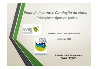 Poda de Inverno e Condução da vinha
(Princípios e tipos de poda)
Viana de Castelo / Vila Verde / Cinfães
Janeiro de 2018
João Garrido e Teresa Mota
(EVAG / CVRVV)
 