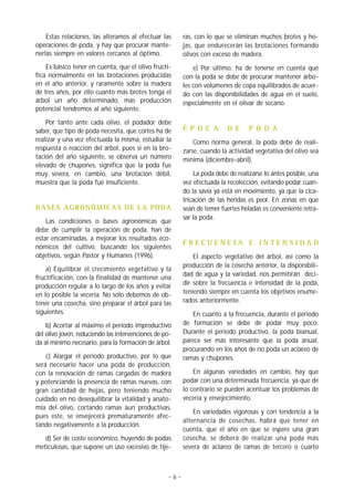 Estas relaciones, las alteramos al efectuar las      ras, con lo que se eliminan muchos brotes y ho-
operaciones de poda, y hay que procurar mante-           jas, que endurecerán las brotaciones formando
nerlas siempre en valores cercanos al óptimo.            olivos con exceso de madera.
    Es básico tener en cuenta, que el olivo fructi-          e) Por último, ha de tenerse en cuenta que
fica normalmente en las brotaciones producidas           con la poda se debe de procurar mantener árbo-
en el año anterior, y raramente sobre la madera          les con volúmenes de copa equilibrados de acuer-
de tres años, por ello cuanto más brotes tenga el        do con las disponibilidades de agua en el suelo,
árbol un año determinado, más producción                 especialmente en el olivar de secano.
potencial tendremos al año siguiente.

    Por tanto ante cada olivo, el podador debe
saber, que tipo de poda necesita, que cortes ha de       É P O C A        D E     P O D A
realizar y una vez efectuada la misma, estudiar la           Como norma general, la poda debe de reali-
respuesta o reacción del árbol, pues si en la bro-       zarse, cuando la actividad vegetativa del olivo sea
tación del año siguiente, se observa un número           mínima (diciembre-abril).
elevado de chupones, significa que la poda fue
muy severa, en cambio, una brotación débil,                  La poda debe de realizarse lo antes posible, una
muestra que la poda fué insuficiente.                    vez efectuada la recolección, evitando podar cuan-
                                                         do la savia ya está en movimiento, ya que la cica-
                                                         tricación de las heridas es peor. En zonas en que
BASES AGRONÓMICAS DE LA PODA                             sean de temer fuertes heladas es conveniente retra-
                                                         sar la poda.
    Las condiciones o bases agronómicas que
debe de cumplir la operación de poda, han de
estar encaminadas, a mejorar los resultados eco-
                                                         FRECUENCIA E INTENSIDAD
nómicos del cultivo, buscando los siguientes
objetivos, según Pastor y Humanes (1996).                    El aspecto vegetativo del árbol, así como la
                                                         producción de la cosecha anterior, la disponibili-
    a) Equilibrar el crecimiento vegetativo y la
                                                         dad de agua y la variedad, nos permitirán deci-
fructificación, con la finalidad de mantener una
producción regular a lo largo de los años y evitar       dir sobre la frecuencia e intensidad de la poda,
en lo posible la veceria. No sólo debemos de ob-         teniendo siempre en cuenta los objetivos enume-
tener una cosecha, sino preparar el árbol para las       rados anteriormente.
siguientes.                                                 En cuanto a la frecuencia, durante el período
    b) Acortar al máximo el período improductivo         de formación se debe de podar muy poco.
del olivo joven, reduciendo las intervenciones de po-    Durante el período productivo, la poda bianual,
da al mínimo necesario, para la formación de árbol.      parece ser más interesante que la poda anual,
                                                         procurando en los años de no poda un aclareo de
    c) Alargar el periodo productivo, por lo que         ramas y chupones.
será necesario hacer una poda de producción,
con la renovación de ramas cargadas de madera                En algunas variedades en cambio, hay que
y potenciando la presencia de ramas nuevas, con          podar con una determinada frecuencia, ya que de
gran cantidad de hojas, pero teniendo mucho              lo contrario se pueden acentuar los problemas de
cuidado en no desequilibrar la vitalidad y anato-        veceria y envejecimiento.
mía del olivo, cortando ramas aun productivas,
                                                             En variedades vigorosas y con tendencia a la
pues este, se envejecerá prematuramente afec-
                                                         alternancia de cosechas, habrá que tener en
tando negativamente a la producción.
                                                         cuenta, que el año en que se espere una gran
   d) Ser de coste económico, huyendo de podas           cosecha, se deberá de realizar una poda más
meticulosas, que supone un uso excesivo de tije-         severa de aclareo de ramas de tercero o cuarto



                                                   -6-
 
