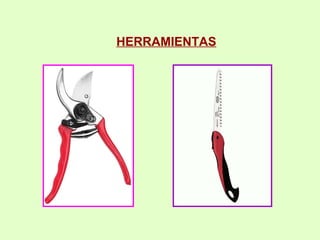 HERRAMIENTAS 