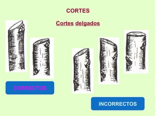 CORTES Cortes   delgados CORRECTOS INCORRECTOS 