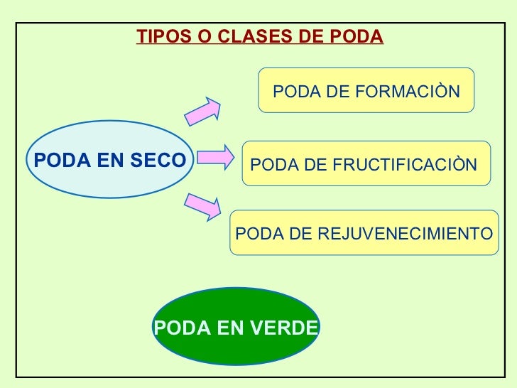 iluminacion definicion definicion iluminacion related keywords definicion iluminacion definicion definicion iluminacion related keywords definicion