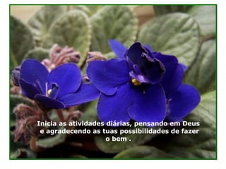 Inicia as atividades diárias, pensando em Deus  e agradecendo as tuas possibilidades de fazer o bem . 