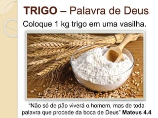 TRIGO – Palavra de Deus
Coloque 1 kg trigo em uma vasilha.
“Não só de pão viverá o homem, mas de toda
palavra que procede da boca de Deus” Mateus 4.4
 