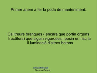 www.arbres.cat
Gemma Esteba
Primer anem a fer la poda de manteniment:
Cal treure branques ( encara que portin òrgens
fructífers) que siguin viguroses i posin en risc la
il.luminació d'altres botons
 