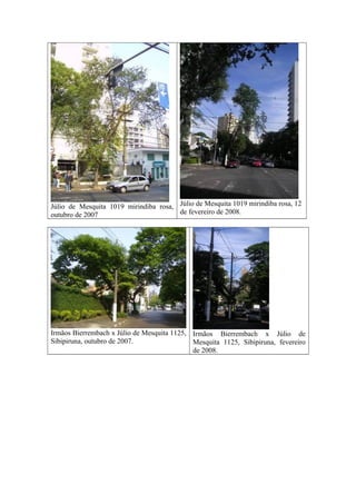 Júlio de Mesquita 1019 mirindiba rosa,
outubro de 2007
Júlio de Mesquita 1019 mirindiba rosa, 12
de fevereiro de 2008.
Irmãos Bierrembach x Júlio de Mesquita 1125,
Sibipiruna, outubro de 2007.
Irmãos Bierrembach x Júlio de
Mesquita 1125, Sibipiruna, fevereiro
de 2008.
 