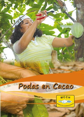 Podas en Cacao 
 