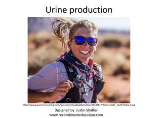 Urine production
https://www.womensrunning.com/wp-content/uploads/sites/2/2018/11/Photo-credit_-Scott-Rokis-2.jpg
Designed by: Justin Shaffer
www.recombinanteducation.com
 