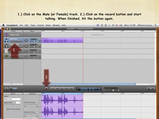 1.) Click on the Male (or Female) track. 2.) Click on the record button and start
                      talking. When finished, hit the button again.




1




                      2
 