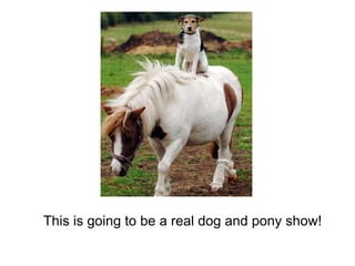 This is going to be a real dog and pony show! 