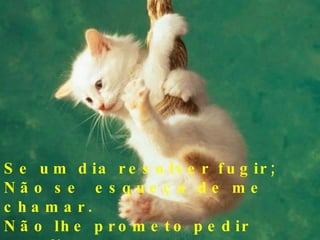Se um dia resolver fugir; Não se esqueça de me chamar. Não lhe prometo pedir pra ficar, Mas posso fugir com você.