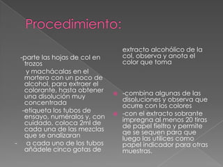 extracto alcohólico de la
 -parte las hojas de col en       col, observa y anota el
   trozos                         color que toma
    y machácalas en el
   mortero con un poco de
   alcohol, para extraer el
   colorante, hasta obtener    -combina algunas de las
   una disolución muy           disoluciones y observa que
   concentrada                  ocurre con los colores
  -etiqueta los tubos de       -con el extracto sobrante
   ensayo, numéralos y, con     impregna al menos 20 tiras
   cuidado, coloca 2ml de       de papel fieltro y permite
   cada una de las mezclas      qe se sequen para que
   que se analizaran            luego las utilices como
- a cada uno de los tubos       papel indicador para otras
   añádele cinco gotas de       muestras.
 