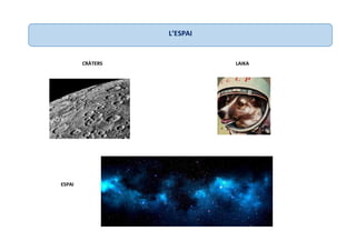 CRÀTERS LAIKA
ESPAI
L’ESPAI
 