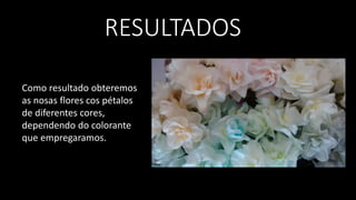 RESULTADOS
Como resultado obteremos
as nosas flores cos pétalos
de diferentes cores,
dependendo do colorante
que empregaramos.
 