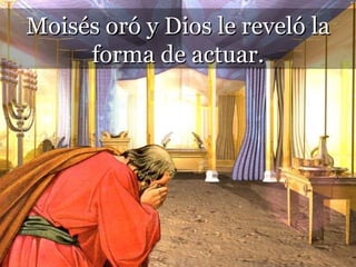 Moisés oró y Dios le reveló la forma de actuar. 