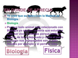 En donde se apreciaYo creo que se aprecia en la Materia de BiologiaBiologiaPor que todo animal esta relacionado con Biologia ya que es l materia que estudia a todo ser vivo. Y ademas porque tambien hablan de los antepasado y como el perro y el gato sus antepasados son el gato montes por ejemplo y el perro el lobo.FisicaBiologia