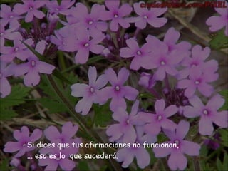 Si dices que tus afirmaciones no funcionan,  ...  eso es lo  que sucederá.  