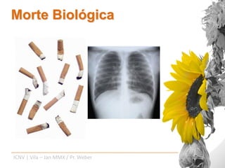 Morte Biológica




ICNV | Vila – Jan MMX / Pr. Weber
 