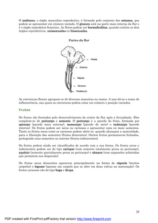 29
O androceu, o órgão masculino reprodutivo, é formado pelo conjunto dos estames, que
podem se apresentar em nú mero variado. O gineceu está na parte mais interna da flor e
é o órgão reprodutor feminino. As flores podem ser hermafroditas, quando contêm os dois
órgãos reprodutivos, unissexuadas ou bissexuadas.
Partes da flor
As estruturas florais agrupam-se de diversas maneiras no ramos. A isso dá -se o nome de
inflorescência, nas quais as estruturas podem estar em nú mero e posiç ão variados.
Frutos
Os frutos são formados pelo desenvolvimento do ová rio da flor após a fecundaç ão. Eles
compõem-se de pericarpo e semente. O pericarpo é a parede do fruto, formada por
epicarpo (parede mais externa), mesocarpo (parede do meio) e endocarpo (parede
interna). Os frutos podem ser secos ou carnosos e apresentar uma ou mais sementes.
Tanto os frutos secos como os carnosos podem abrir-se, quando alcanç am a maturidade,
para a liberaç ão das sementes (frutos deiscentes). Outros frutos permanecem fechados,
protegendo suas sementes no interior (frutos indeiscentes).
Os frutos podem ainda ser classificados de acordo com a sua forma. Os frutos secos e
indeiscentes podem ser do tipo cariopse (com semente totalmente presa ao pericarpo),
aquê nio (semente parcialmente presa ao pericarpo) e sâmara (com expansões achatadas
que permitem sua dispersão).
Os frutos secos deiscentes aparecem principalmente na forma de cá psula (muitos
carpelos) e legume (apenas um carpelo que se abre em duas valvas na maturaç ão). Os
frutos carnosos são do tipo baga e drupa.
PDF created with FinePrint pdfFactory trial version http://www.fineprint.com
 