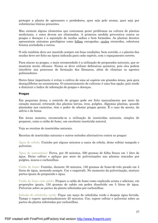37
proteger a planta de agressores e predadores, quer seja pelo aroma, quer seja por
substâncias tóxicas presentes.
Mas existem alguns elementos que costumam gerar problemas na cultura de plantas
medicinais, e estes devem ser eliminados. A primeira medida preventiva contra as
pragas e doenç as é a aquisiç ão de mudas sadias e bem formadas. As plantas doentes
apresentam sintomas patológicos como folhas enrugadas, caules retorcidos, cobertura
branca aveludada e outros.
O solo també m deve ser mantido sempre em boas condiç ões, bem nutrido, e o plantio das
mudas deve ser feito na é poca indicada para cada espé cie, com o espaç amento correto.
Para atacar as pragas, o mais recomendado é a utilizaç ão de preparados naturais, que se
mostram muito eficazes. Nunca se deve utilizar defensivos químicos, pois eles podem
interferir nos processos de formaç ão dos fá rmacos, alé m de eliminar os agentes
polinizadores.
Outro fator importante é evitar o cultivo de uma sóespé cie em grandes á reas, pois gera
desequilíbrios no ecossistema. O consorciamento de culturas é uma boa opç ão, pois tende
a diminuir o índice de infestaç ão de pragas e doenç as.
Pragas
Em pequenas á reas, o controle de pragas pode ser feito manualmente por meio da
cataç ão manual, retirando das plantas larvas, ovos, pulgões. Algumas plantas, quando
plantadas nos canteiros, têm o poder de afastar pragas gerais. É o caso da menta, da
sá lvia e da losna.
Em á reas maiores, recomenda-se a utilizaç ão de inseticidas naturais, simples de
preparar, como a calda de fumo, um excelente inseticida natural.
Veja as receitas de inseticidas naturais.
Receitas de inseticidas naturais e outros mé todos alternativos contra as pragas:
Á gua de cebola: Cozinhe por alguns minutos a casca da cebola, deixe esfriar tampado e
pulverize.
Á gua de samambaia: Ferva, por 30 minutos, 500 gramas de folha fresca em 1 litro de
á gua. Deixe esfriar e aplique por meio de pulverizaç ões nas plantas atacadas por
pulgões, á caros e cochonilhas.
Calda de fumo: Cozinhe, durante 30 minutos, 150 gramas de fumo-de-rolo picado em 5
litros de á gua, mexendo sempre. Coe e engarrafe. No momento da pulverizaç ão, misture
partes iguais do preparado e á gua.
Calda de fumo com sabão: Prepare a calda de fumo como explicado acima e adicione, em
proporç ões iguais, 150 gramas de sabão em pedra dissolvido em 5 litros de á gua.
Pulverize sobre as partes da planta infestadas por cochonilhas.
Infusão de cebolinha verde: Pique um maç o de cebolinha verde e despeje á gua fervida.
Tampe e espere aproximadamente 20 minutos. Coe, espere esfriar e pulverize sobre as
partes da planta infestadas por cochonilhas.
PDF created with FinePrint pdfFactory trial version http://www.fineprint.com
 