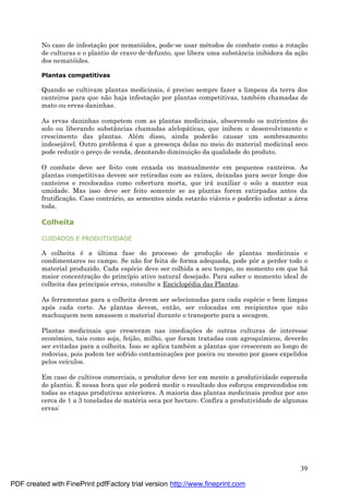 39
No caso de infestaç ão por nematóides, pode-se usar mé todos de combate como a rotaç ão
de culturas e o plantio de cravo-de-defunto, que libera uma substância inibidora da aç ão
dos nematóides.
Plantas competitivas
Quando se cultivam plantas medicinais, é preciso sempre fazer a limpeza da terra dos
canteiros para que não haja infestaç ão por plantas competitivas, també m chamadas de
mato ou ervas daninhas.
As ervas daninhas competem com as plantas medicinais, absorvendo os nutrientes do
solo ou liberando substâncias chamadas alelopá ticas, que inibem o desenvolvimento e
crescimento das plantas. Alé m disso, ainda poderão causar um sombreamento
indesejá vel. Outro problema é que a presenç a delas no meio do material medicinal seco
pode reduzir o preç o de venda, denotando diminuiç ão da qualidade do produto.
O combate deve ser feito com enxada ou manualmente em pequenos canteiros. As
plantas competitivas devem ser retiradas com as raízes, deixadas para secar longe dos
canteiros e recolocadas como cobertura morta, que irá auxiliar o solo a manter sua
umidade. Mas isso deve ser feito somente se as plantas forem extirpadas antes da
frutificaç ão. Caso contrá rio, as sementes ainda estarão viá veis e poderão infestar a á rea
toda.
Colheita
CUIDADOS E PRODUTIVIDADE
A colheita é a ú ltima fase do processo de produç ão de plantas medicinais e
condimentares no campo. Se não for feita de forma adequada, pode pôr a perder todo o
material produzido. Cada espé cie deve ser colhida a seu tempo, no momento em que há
maior concentraç ão do princípio ativo natural desejado. Para saber o momento ideal de
colheita das principais ervas, consulte a Enciclopé dia das Plantas.
As ferramentas para a colheita devem ser selecionadas para cada espé cie e bem limpas
após cada corte. As plantas devem, então, ser colocadas em recipientes que não
machuquem nem amassem o material durante o transporte para a secagem.
Plantas medicinais que cresceram nas imediaç ões de outras culturas de interesse
econômico, tais como soja, feijão, milho, que foram tratadas com agroquímicos, deverão
ser evitadas para a colheita. Isso se aplica també m a plantas que cresceram ao longo de
rodovias, pois podem ter sofrido contaminaç ões por poeira ou mesmo por gases expelidos
pelos veículos.
Em caso de cultivos comerciais, o produtor deve ter em mente a produtividade esperada
do plantio. É nessa hora que ele poderá medir o resultado dos esforç os empreendidos em
todas as etapas produtivas anteriores. A maioria das plantas medicinais produz por ano
cerca de 1 a 3 toneladas de maté ria seca por hectare. Confira a produtividade de algumas
ervas:
PDF created with FinePrint pdfFactory trial version http://www.fineprint.com
 