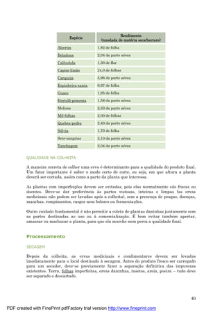 40
Espé cie
Rendimento
(tonelada de maté ria seca/hectare)
Alecrim 1,82 de folha
Beladona 2,04 da parte aé rea
Calêndula 1,30 de flor
Capim-limão 24,0 de folhas
Carqueja 5,96 da parte aé rea
Espinheira-santa 0,67 de folha
Guaco 1,95 de folha
Hortelã-pimenta 1,58 da parte aé rea
Melissa 2,33 da parte aé rea
Mil-folhas 2,00 de folhas
Quebra-pedra 2,40 da parte aé rea
Sá lvia 1,70 de folha
Sete-sangrias 3,10 da parte aé rea
Tanchagem 2,04 da parte aé rea
QUALIDADE NA COLHEITA
A maneira correta de colher uma erva é determinante para a qualidade do produto final.
Um fator importante é saber o modo certo de corte, ou seja, em que altura a planta
deverá ser cortada, assim como a parte da planta que interessa.
As plantas com imperfeiç ões devem ser evitadas, pois elas normalmente são fracas ou
doentes. Deve-se dar preferência às partes vistosas, inteiras e limpas (as ervas
medicinais não podem ser lavadas após a colheita), sem a presenç a de pragas, doenç as,
manchas, rompimentos, rasgos nem bolores ou fermentaç ões.
Outro cuidado fundamental é não permitir a coleta de plantas daninhas juntamente com
as partes destinadas ao uso ou à comercializaç ão. É bom evitar també m apertar,
amassar ou machucar a planta, para que ela murche nem perca a qualidade final.
Processamento
SECAGEM
Depois da colheita, as ervas medicinais e condimentares devem ser levadas
imediatamente para o local destinado à secagem. Antes do produto fresco ser carregado
para um secador, deve-se previamente fazer a separaç ão definitiva das impurezas
existentes. Terra, folhas imperfeitas, ervas daninhas, insetos, areia, poeira – tudo deve
ser separado e descartado.
PDF created with FinePrint pdfFactory trial version http://www.fineprint.com
 