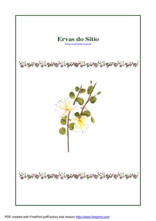 Ervas do Sítio
(www.ervasdositio.com.br)
PDF created with FinePrint pdfFactory trial version http://www.fineprint.com
 