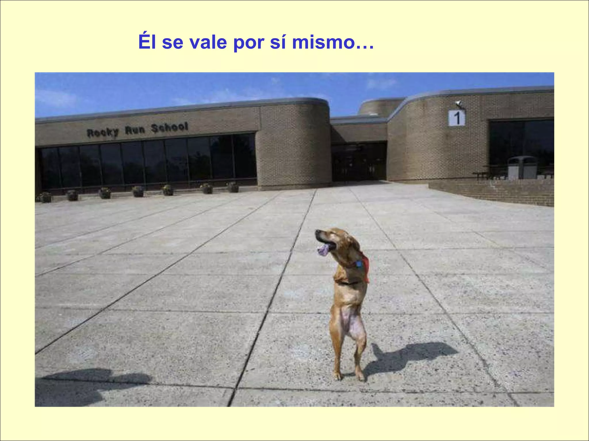 Él se vale por sí mismo… 