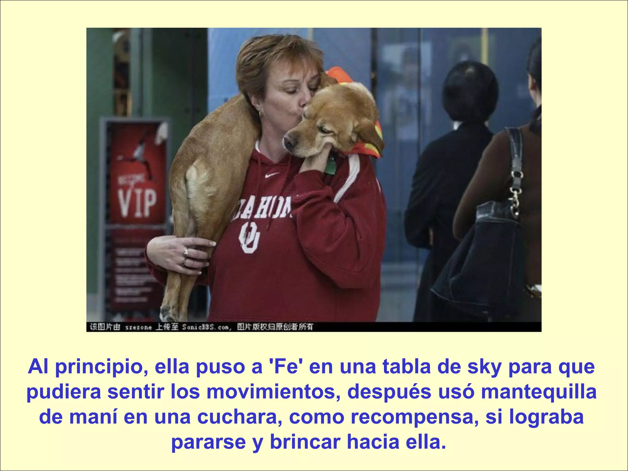 Al principio, ella puso a 'Fe' en una tabla de sky para que pudiera sentir los movimientos, después usó mantequilla de maní en una cuchara, como recompensa, si lograba pararse y brincar hacia ella.  