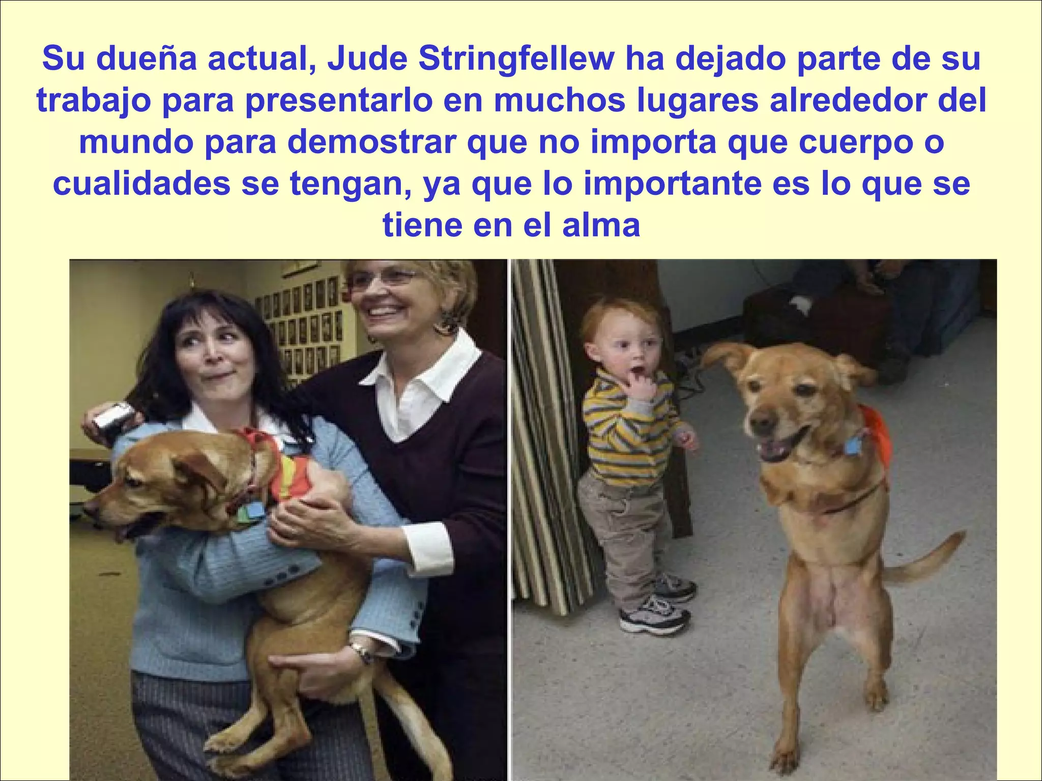 Su dueña actual, Jude Stringfellew ha dejado parte de su trabajo para presentarlo en muchos lugares alrededor del mundo para demostrar que no importa que cuerpo o cualidades se tengan, ya que lo importante es lo que se tiene en el alma 