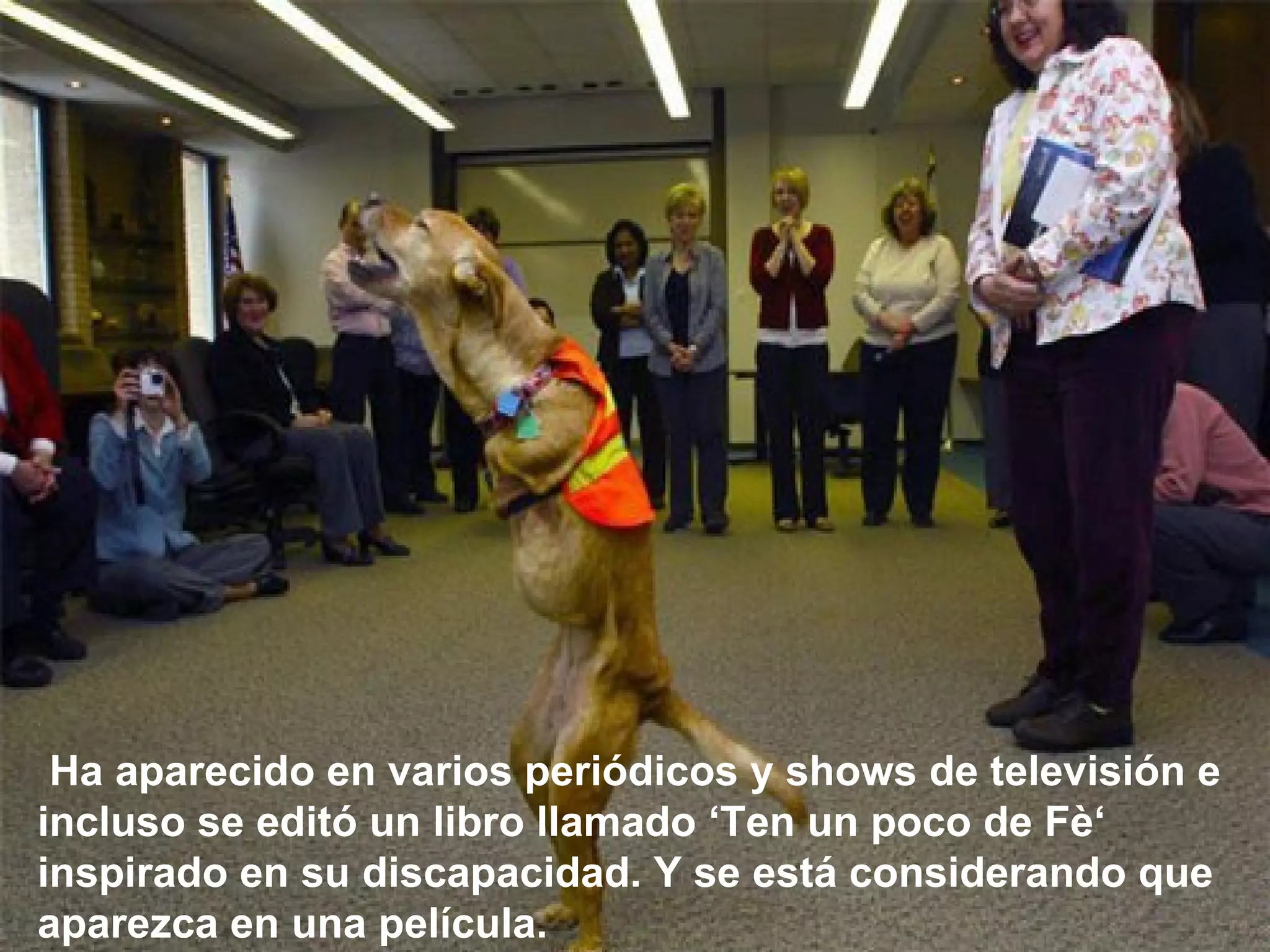   Ha aparecido en varios periódicos y shows de televisión e incluso se editó un libro llamado ‘Ten un poco de Fè‘  inspirado en su discapacidad. Y se está considerando que aparezca en una película.   