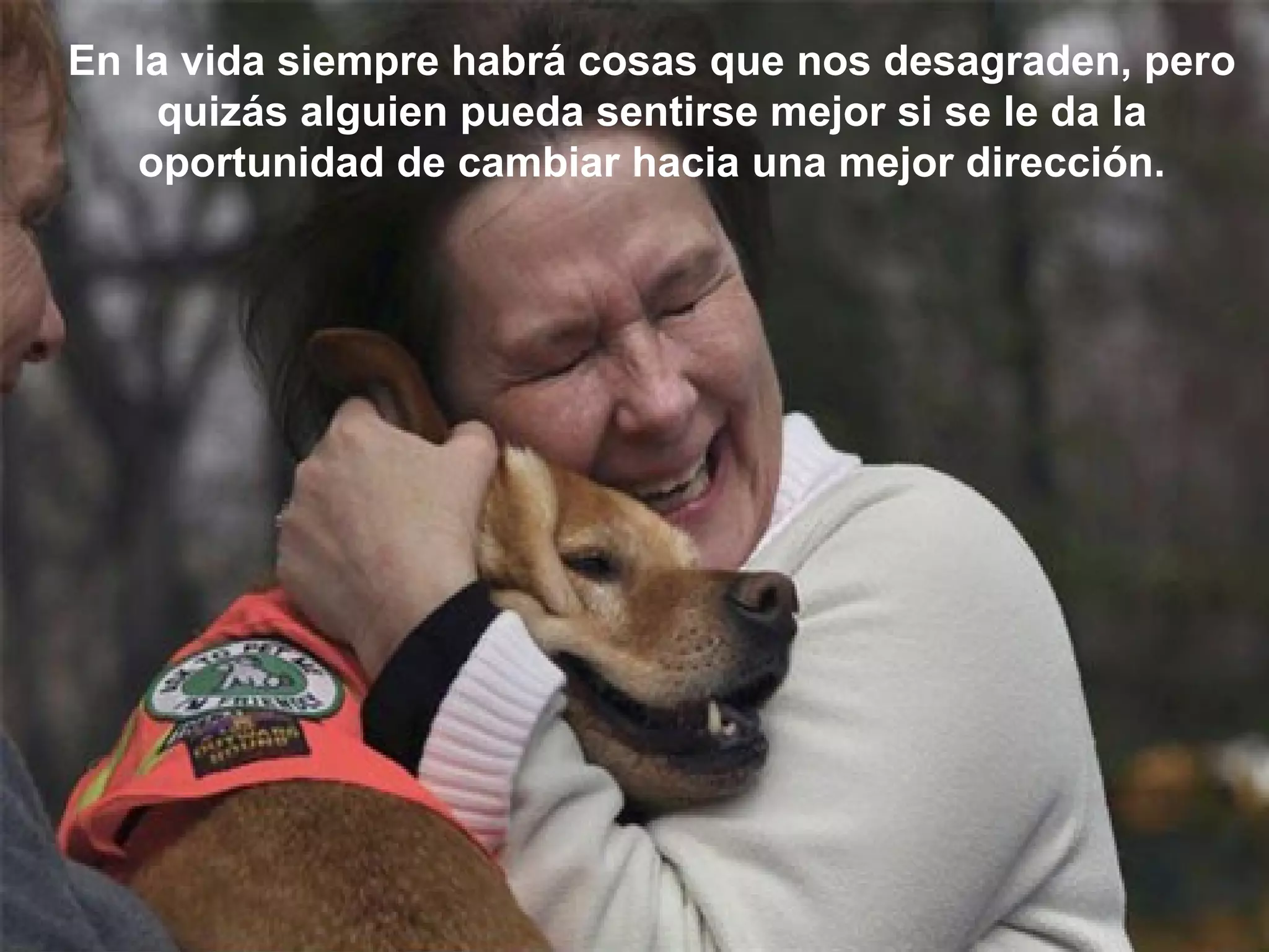 En la vida siempre habrá cosas que nos desagraden, pero quizás alguien pueda sentirse mejor si se le da la oportunidad de cambiar hacia una mejor dirección. 