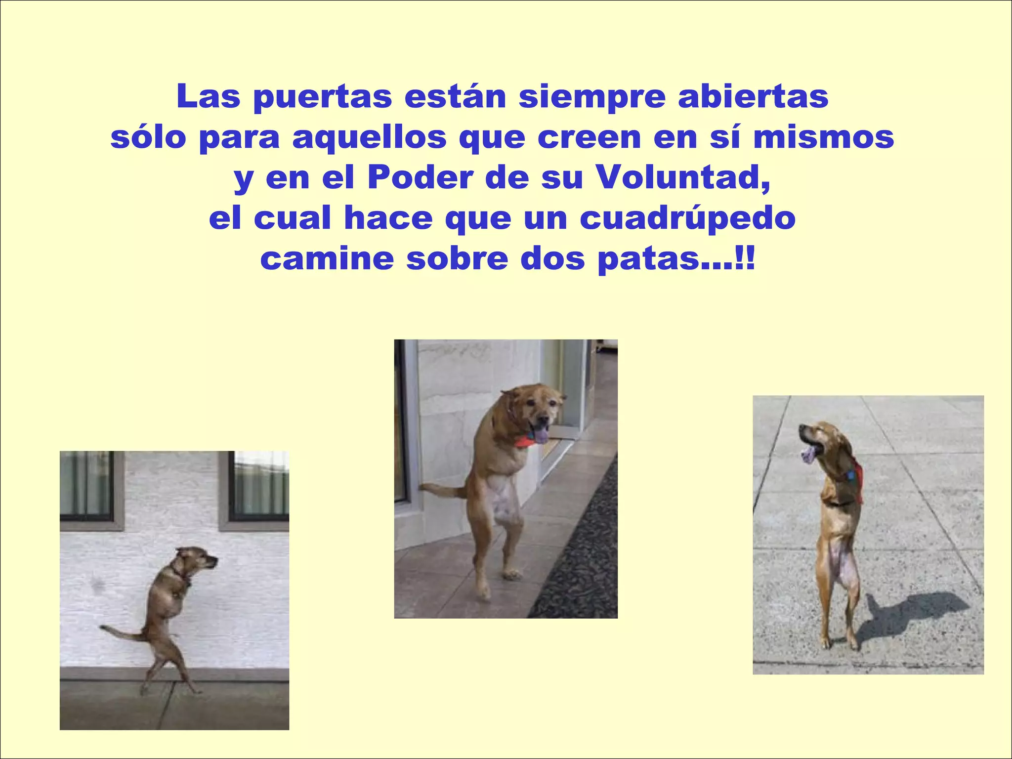 Las puertas están siempre abiertas  sólo para aquellos que creen en sí mismos  y en el Poder de su Voluntad,  el cual hace que un cuadrúpedo  camine sobre dos patas...!! 