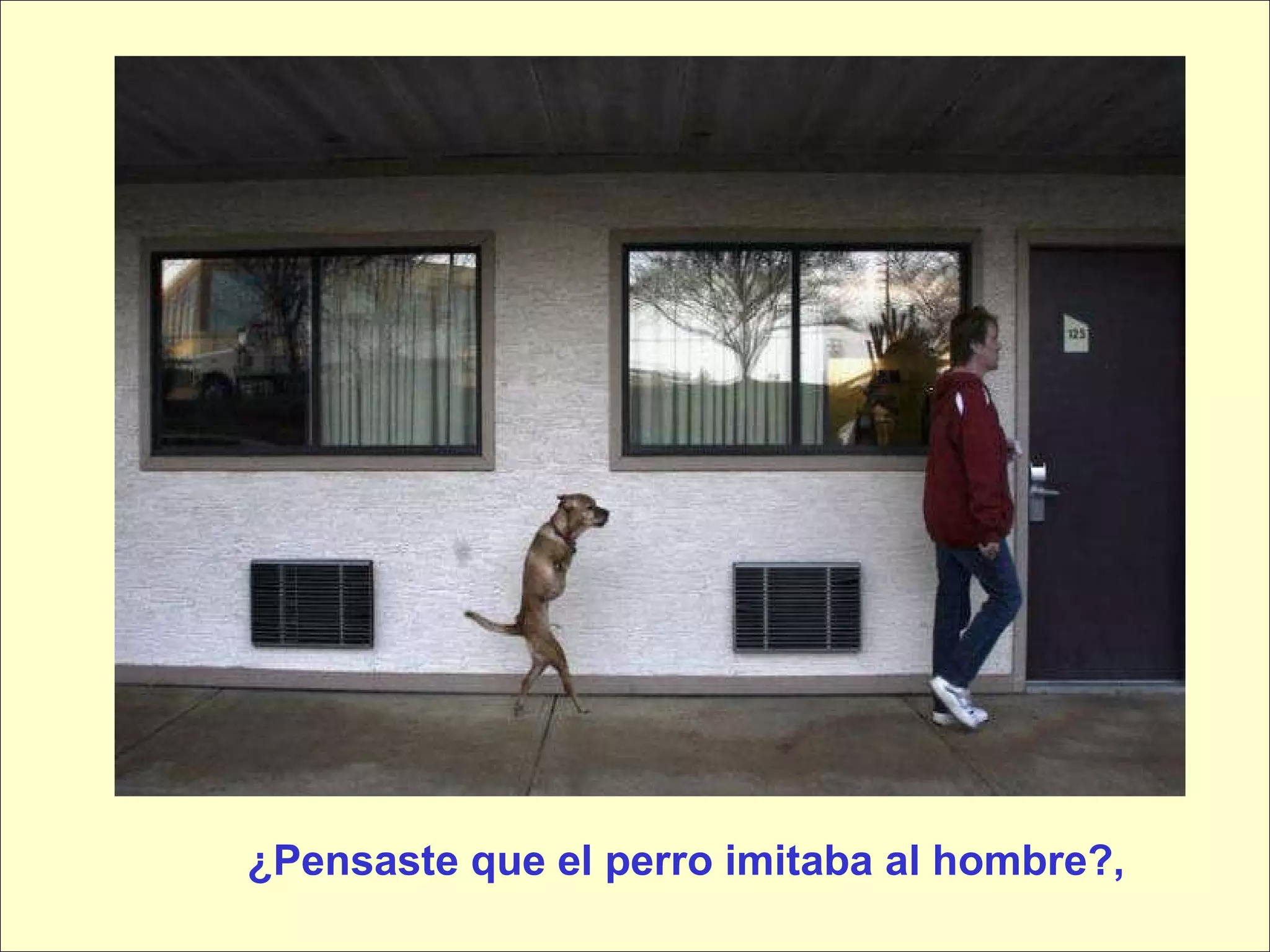 ¿Pensaste que el perro imitaba al hombre?, 