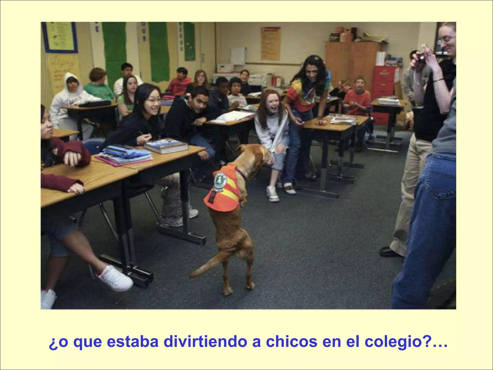 ¿o que estaba divirtiendo a chicos en el colegio?… 