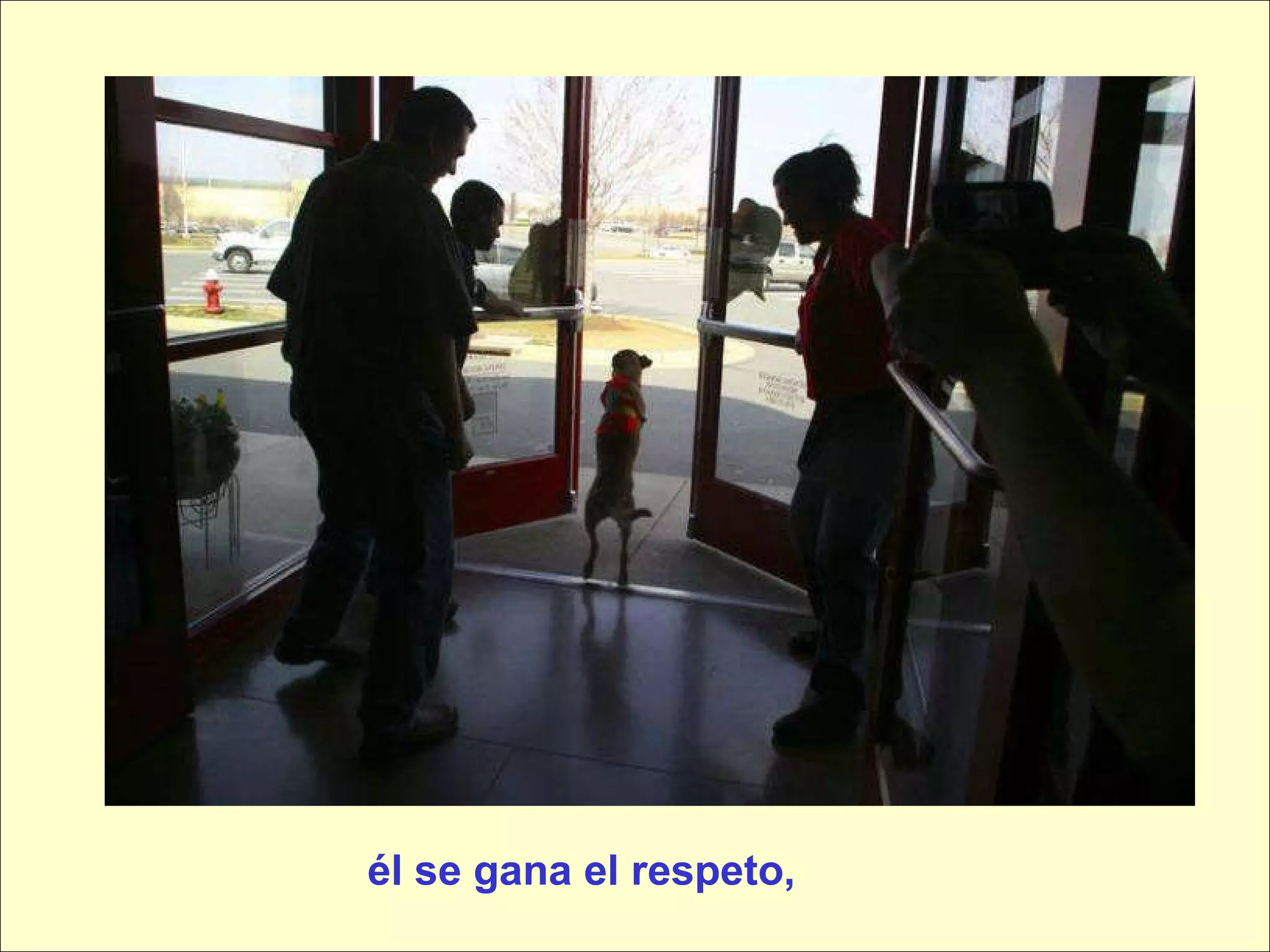 él se gana el respeto, 