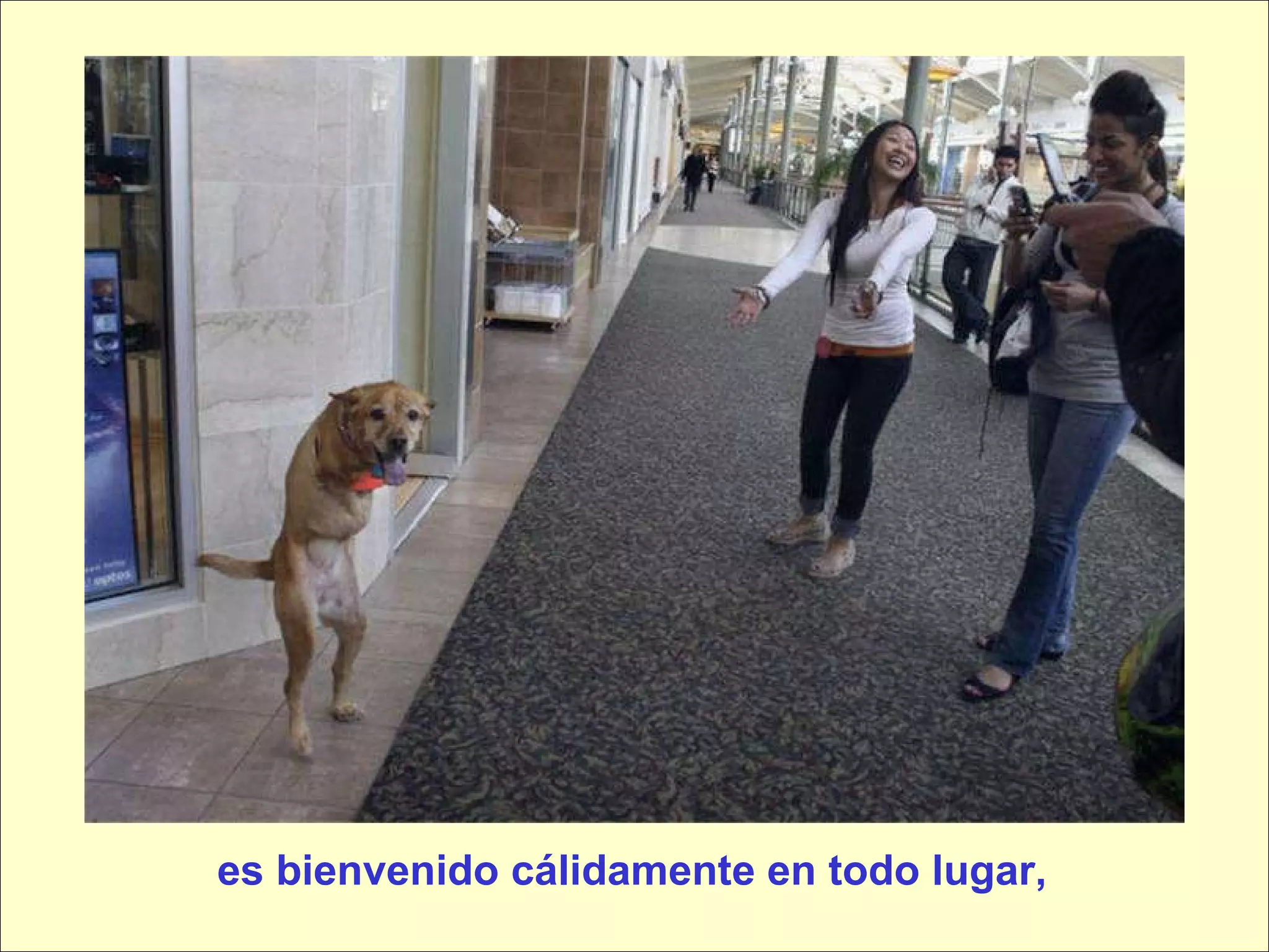 es bienvenido cálidamente en todo lugar, 