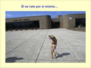 Él se vale por sí mismo… 