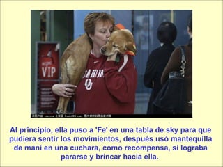 Al principio, ella puso a 'Fe' en una tabla de sky para que pudiera sentir los movimientos, después usó mantequilla de maní en una cuchara, como recompensa, si lograba pararse y brincar hacia ella.  