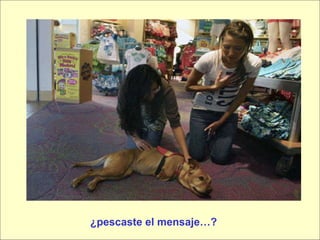 ¿pescaste el mensaje…? 