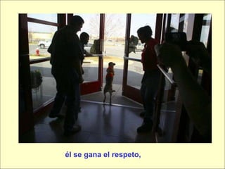 él se gana el respeto, 