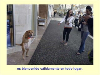 es bienvenido cálidamente en todo lugar, 