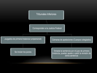 Tribunales Inferiores




                                    Corresponden a la Justicia Federal



Juzgados de primera Instancia (unipersonal)               Cámaras de apelaciones (Cuerpos colegiados)




           Se inician los juicios                            Dictada la sentencia por el juez de primera
                                                           instancia, pueden apelar o pedir la revisión de
                                                                          dicha sentencia
 