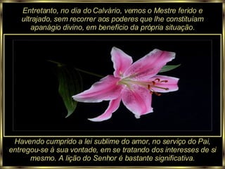 Entretanto, no dia do Calvário, vemos o Mestre ferido e ultrajado, sem recorrer aos poderes que lhe constituíam apanágio divino, em benefício da própria situação. Havendo cumprido a lei sublime do amor, no serviço do Pai, entregou-se à sua vontade, em se tratando dos interesses de si mesmo. A lição do Senhor é bastante significativa. 