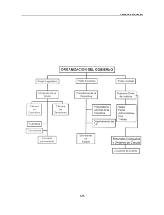 125 
CIENCIAS SOCIALES 
 