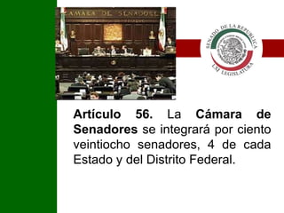 Artículo 56.  La  Cámara de Senadores   se integrará por ciento veintiocho senadores, 4 de cada Estado y del Distrito Federal. I 