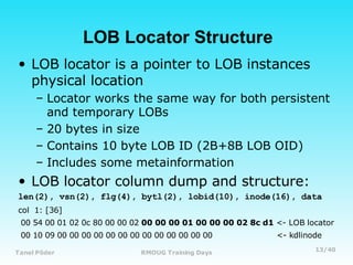 Oracle LOB Internals and Performance Tuning | PDF