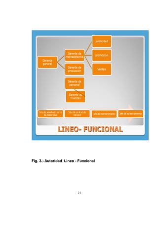 21
Fig. 3.- Autoridad Lineo - Funcional
 
