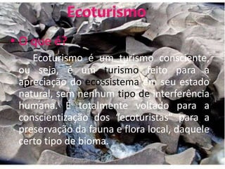 EcoturismoO que é?Ecoturismo é um turismo consciente, ou seja, é um turismo feito para a apreciação do ecossistema em seu estado natural, sem nenhum tipo de interferência humana. É totalmente voltado para a conscientização dos “ecoturistas” para a preservação da fauna e flora local, daquele certo tipo de bioma.