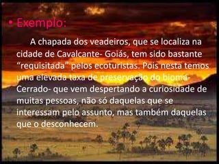 Exemplo:A chapada dos veadeiros, que se localiza na cidade de Cavalcante- Goiás, tem sido bastante “requisitada” pelos ecoturistas. Pois nesta temos uma elevada taxa de preservação do bioma- Cerrado- que vem despertando a curiosidade de muitas pessoas, não só daquelas que se interessam pelo assunto, mas também daquelas que o desconhecem. 